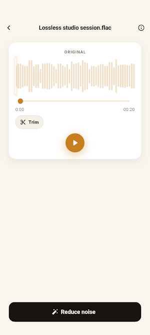NoisyNo: Voice Noise Remover Screenshot 1