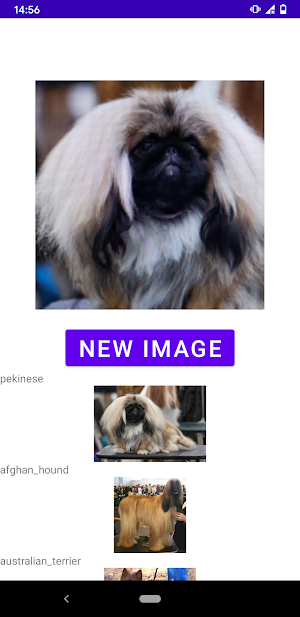 Dog breed identifier Screenshot 2