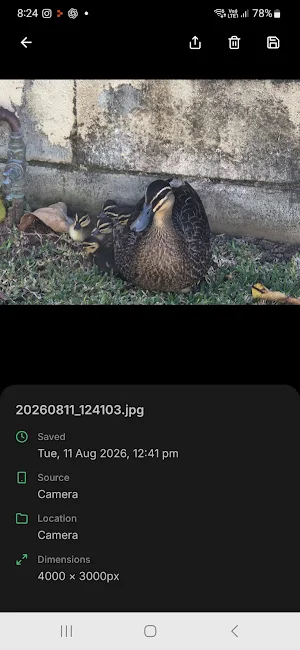Everecent Screenshot 3
