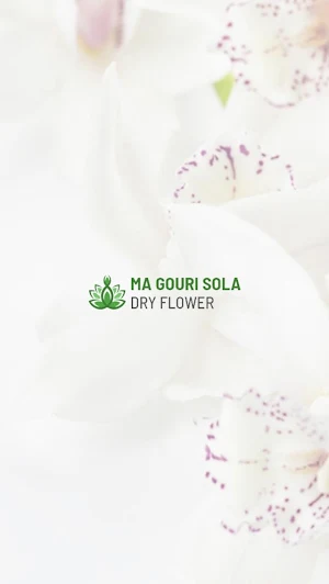 Ma Gouri Sola Dry Flower Screenshot 0