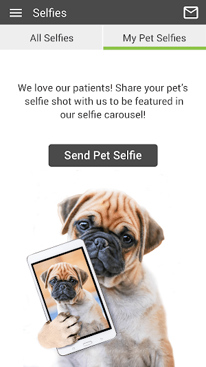 Arroyo Vet Screenshot 3