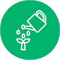 Rega diária - Plantas e Adubos