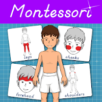 Parts of the Human Body - Mont
