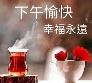下午好 晚安 Screenshot 1