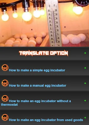 Learn to make an egg incubator Screenshot 0