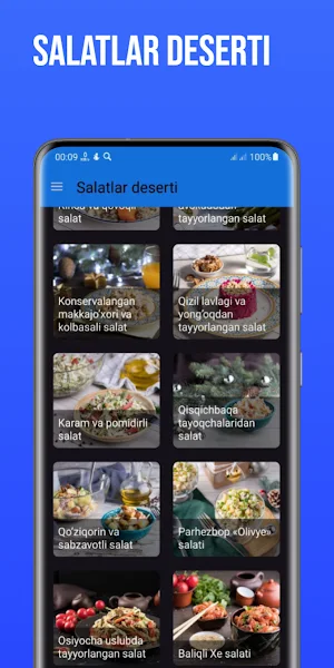 Salatlar deserti Screenshot 2