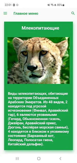 Животные Эмиратов Screenshot 0