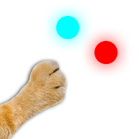 Laser games for cat have fun