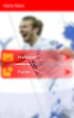 Harry Kane -Wallpapers,Puzzle Screenshot 0