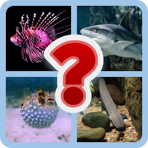 Quiz: Guess the Fish Screenshot 0