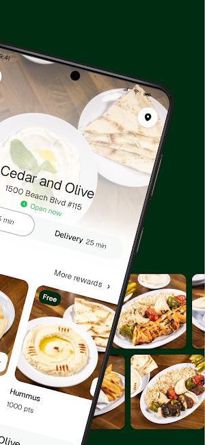 Cedar and Olive Screenshot 1