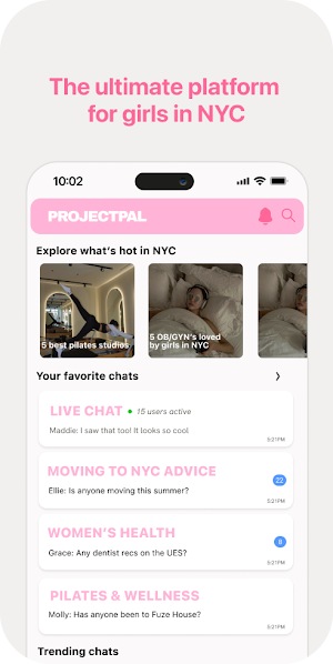 Projectpal Screenshot 0
