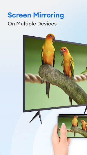 Cast to TV & Screen Mirroring screenshot 5