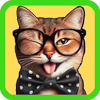 Funny Animal Videos