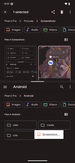 Files Screenshot 3