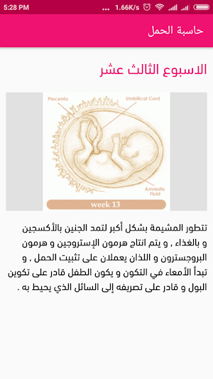 حاسبة الحمل وموعد الولادة Screenshot 2