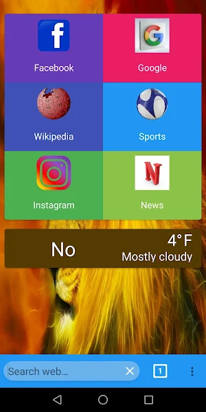 Web Browser Fast Ads Blocker Screenshot 1