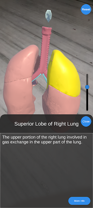 AR Anatomy Screenshot 3