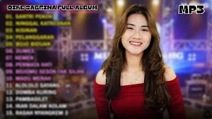 Dike Sabrina Dangdut Viral Mp3 Screenshot 0