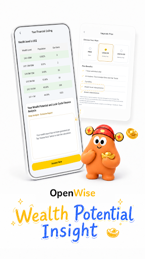 OpenWise: Chinese Astrology AI Screenshot 2