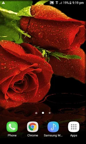 Red Roses Live Wallpaper Screenshot 0