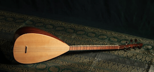 Baglama Instrument Screenshot 2