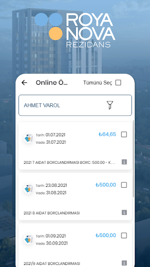 Roya Nova Screenshot 3