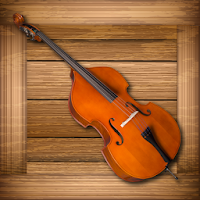 Toddlers Double Bass