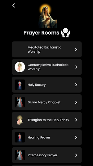 Eucharistica Screenshot 0