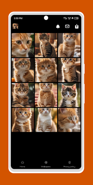Ai Cute cats wallpapers - Gld Screenshot 3