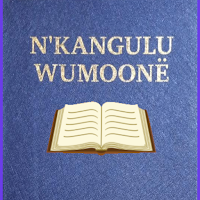 Vili New Testament with audio