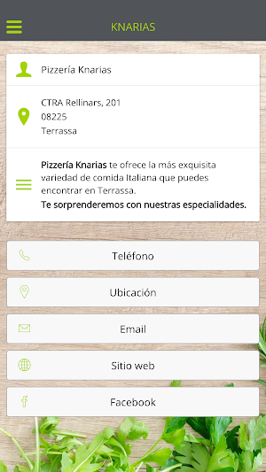 Pizzería Knarias Screenshot 2