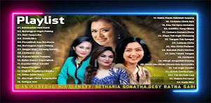 DesyRatnasari Mp3 Full Offline Screenshot 3