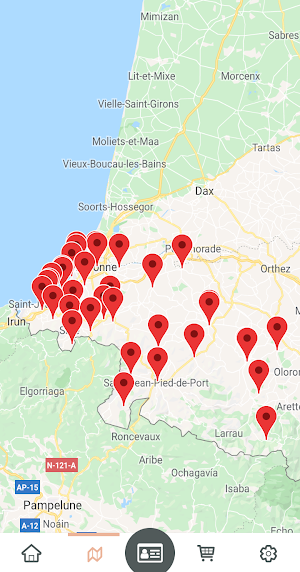 Euskal Pass Screenshot 0