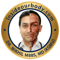 Inside Our Body