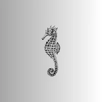 Kuda Laut Wallpaper