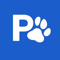 Pasapet