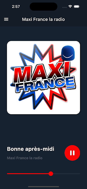 Maxi France radio Screenshot 0