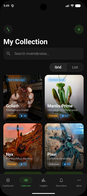 InvertMate - Tarantula & More Screenshot 0