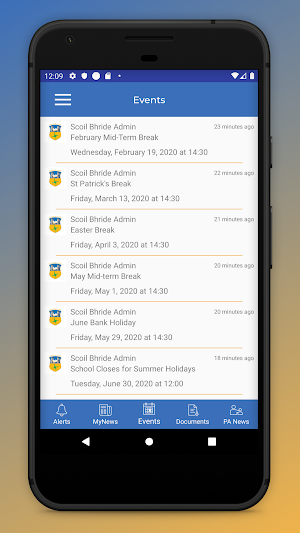 Scoil Bhride Naas Screenshot 2
