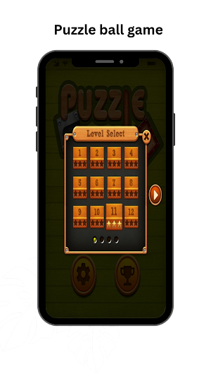 Puzzle ball game Screenshot 2