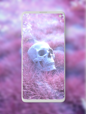 Skull Wallpapers HD Screenshot 2