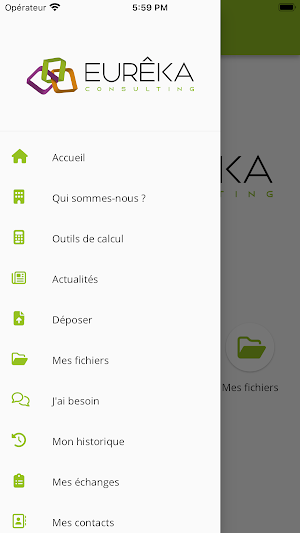 Eurêka Consulting Screenshot 2