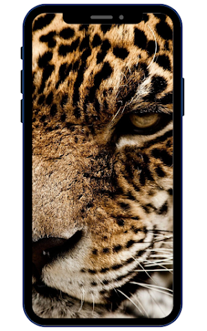 Jaguar Wallpapers Screenshot 2