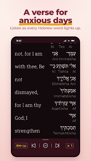 Hebrew Bible for Women: Study Screenshot 2