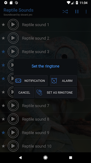 Reptile sounds ~ Sboard.pro Screenshot 2