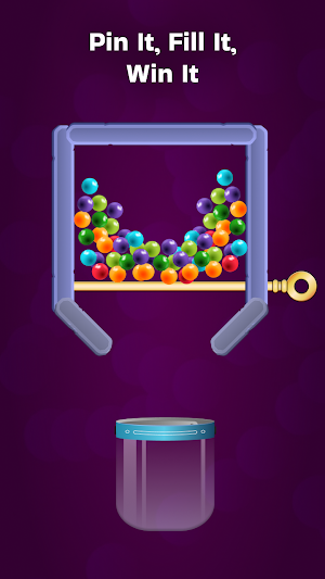 Pin Unlock & Fill Screenshot 2