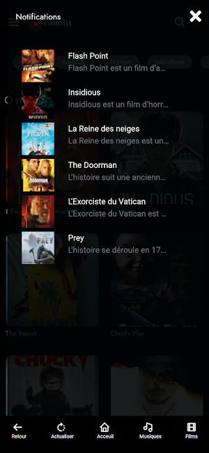 Camflix Screenshot 3