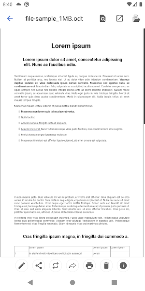 Open Office Viewer Screenshot 2