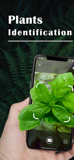 Plant ID - Plant Identification - PictureThis Screenshot 0